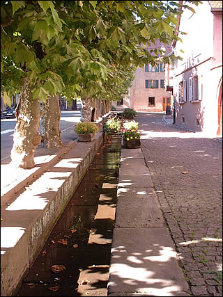 Grand rue de Bergheim