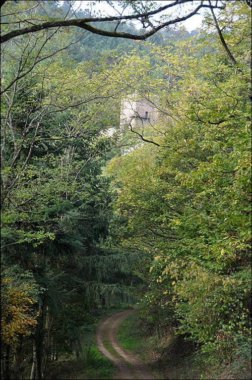 Le château du Hagueneck à travers les feuilles