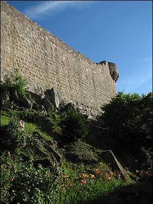 Le jardin des simples du château du Hohlandsbourg