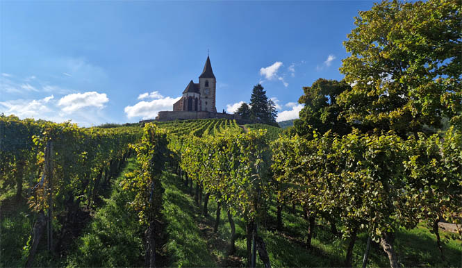 Vue sur Hunawihr et son église fortifiée Vue sur Hunawihr et son église fortifiée