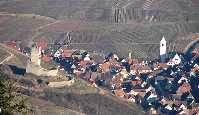 Le château du Wineck à Katzenthal Vue du château du Wineck à Katzenthal