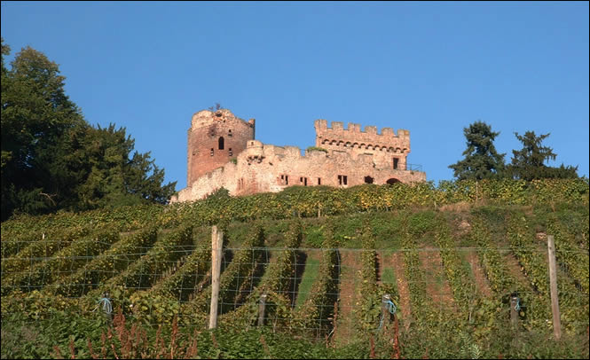 Vue du château de Kintzheim