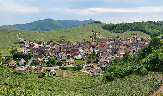 Vue du village de Niedermorschwihr Vue du village de Niedermorschwihr