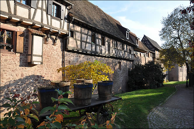 Les remparts de Riquewihr Les remparts de Riquewihr
