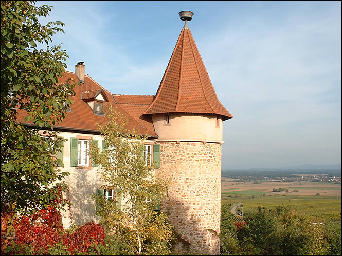 Tour des remparts de Zellenberg Tour des remparts de Zellenberg