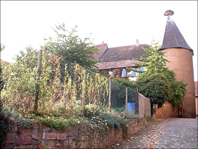 Tour d'enceinte de Zellenberg Tour d'enceinte de Zellenberg