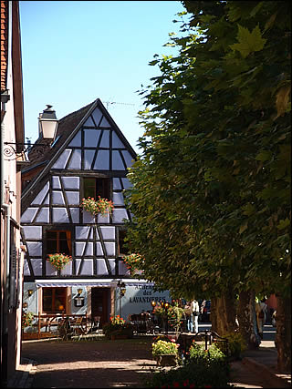 Grand rue de Bergheim