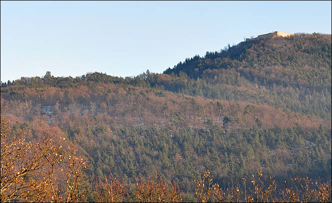 Vue du château du Hohlandsbourg depuis le château du Pfilxbourg
