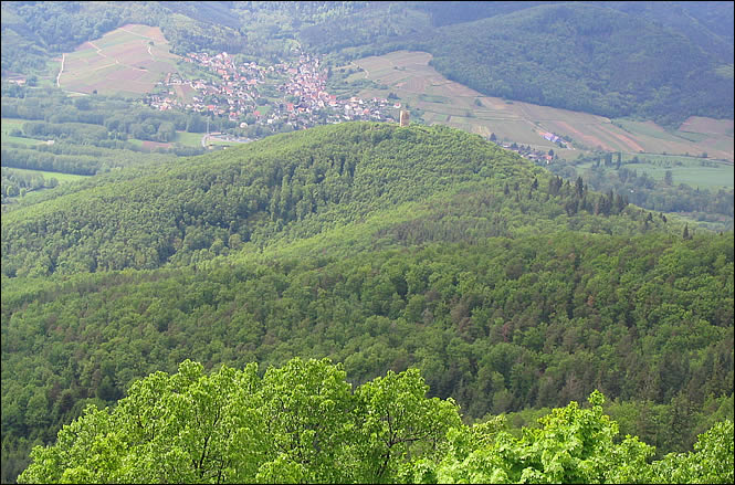 Vue sur le Pflixbourg depuis le château du Hohlandsbourg