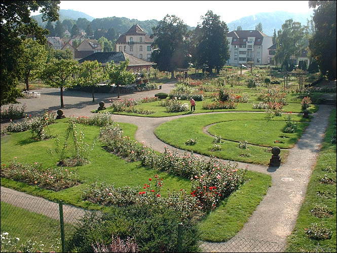 La roseraie de Saverne