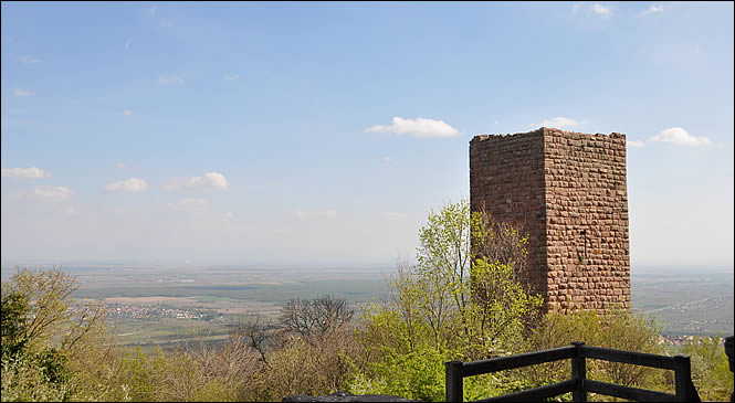 Vue sur la plaine d'Alsace