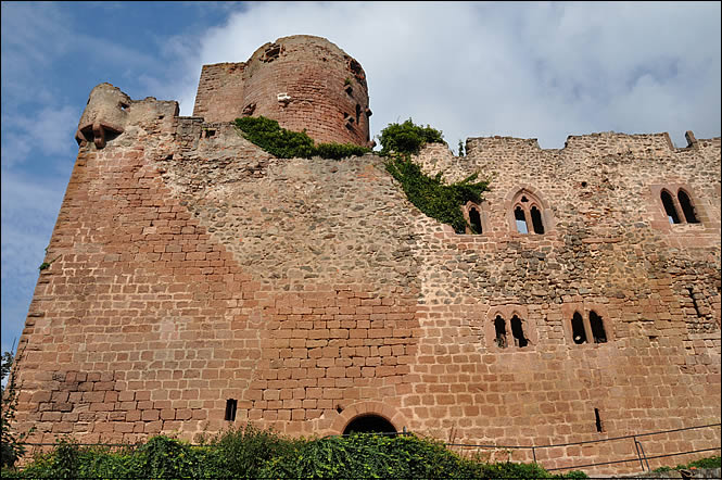 Le château de la volerie des aigles