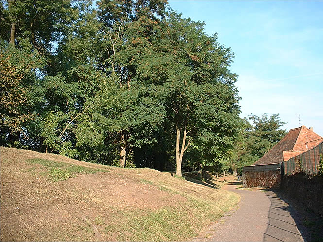 Les remparts de Wissembourg